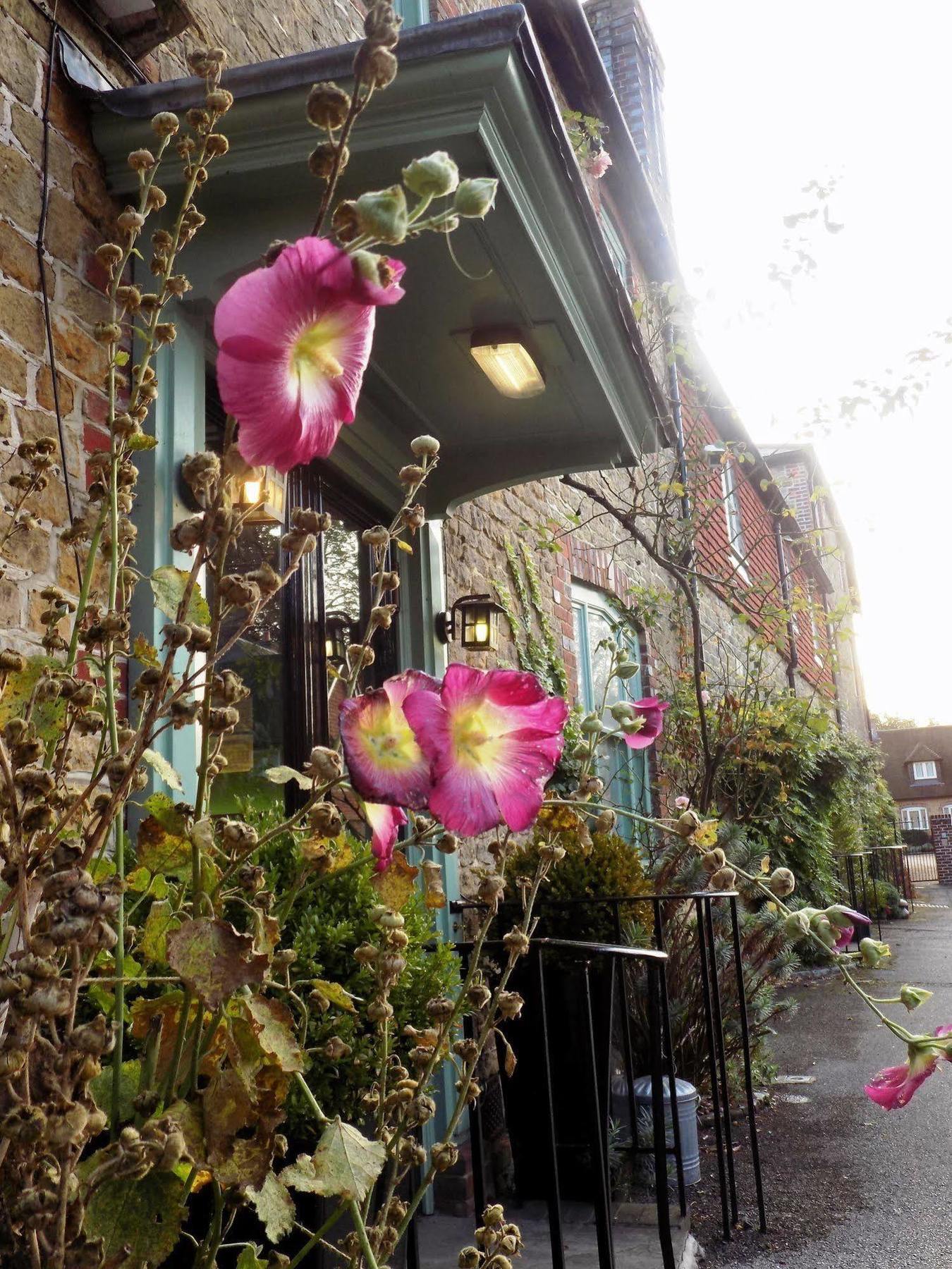The Angel B&B Chichester Exterior photo